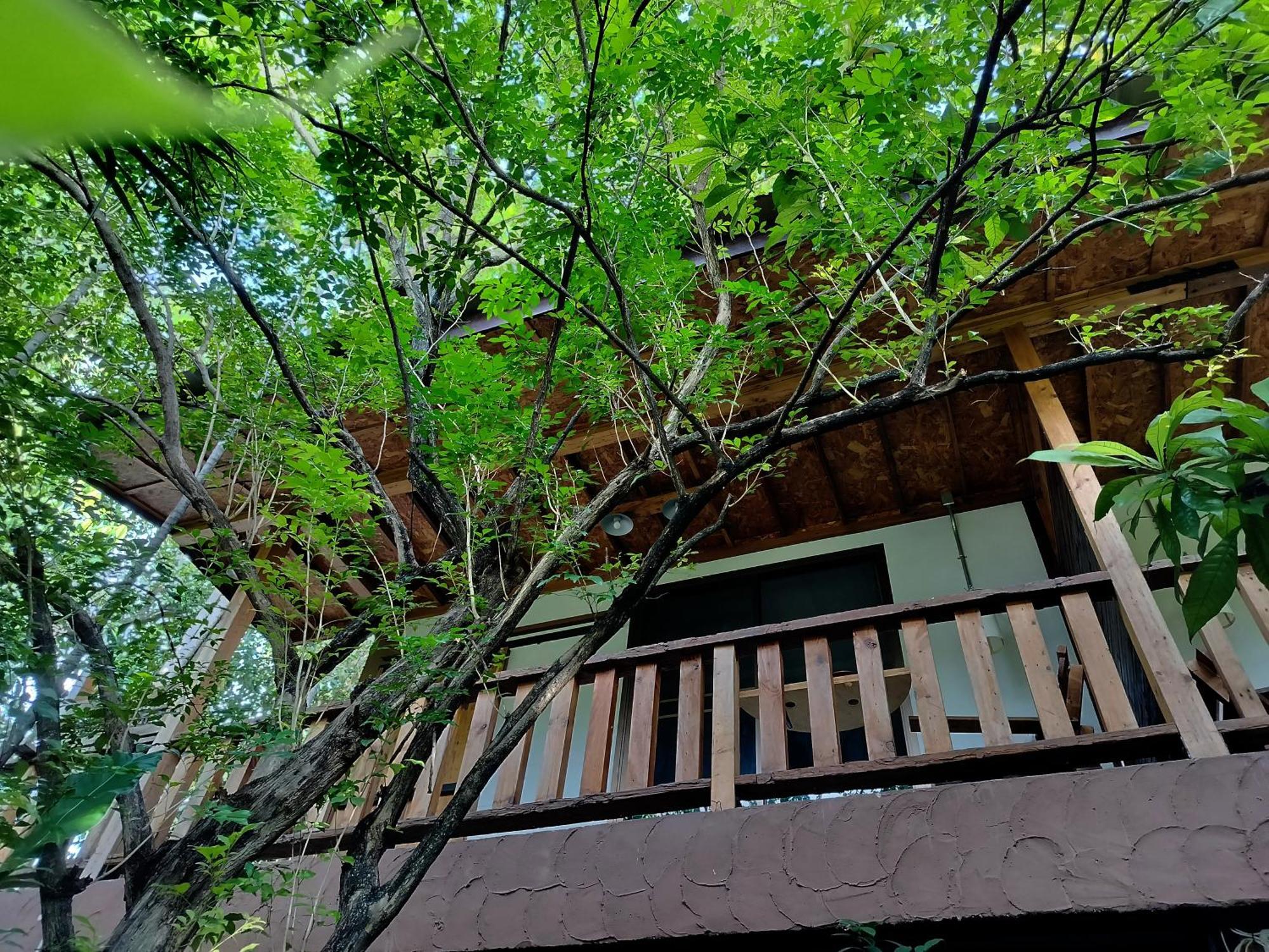 Aparthotel Oldy De Garden à Chiang Mai Extérieur photo