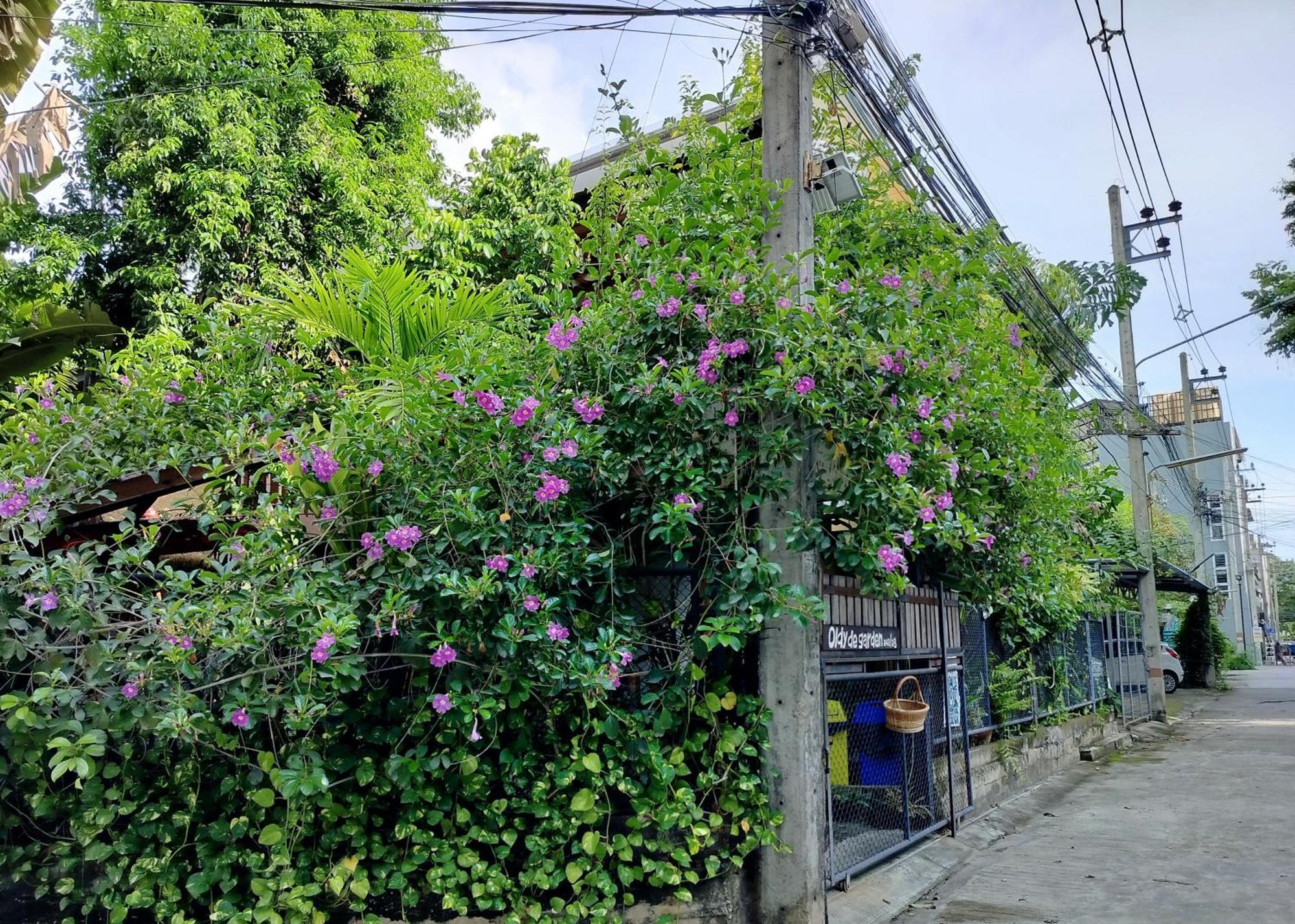 Aparthotel Oldy De Garden à Chiang Mai Extérieur photo