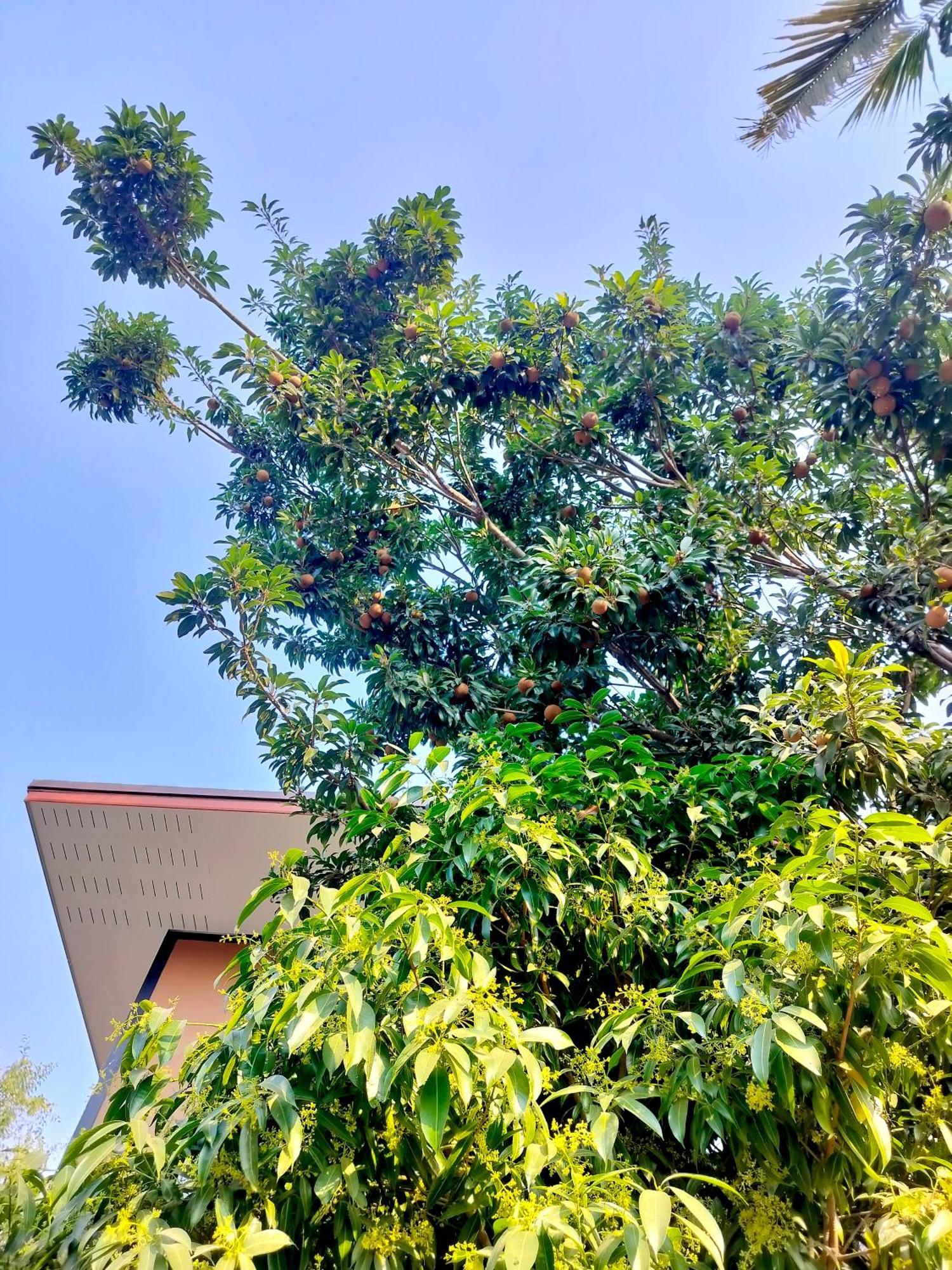 Aparthotel Oldy De Garden à Chiang Mai Extérieur photo